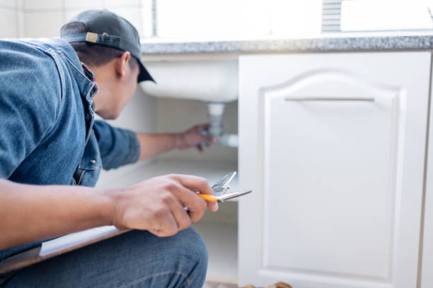 Best Clogged Drain Plumber  in Arcadia, SC
