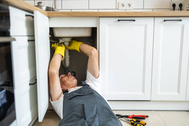 Best Residential Plumbing Services  in Arcadia, SC