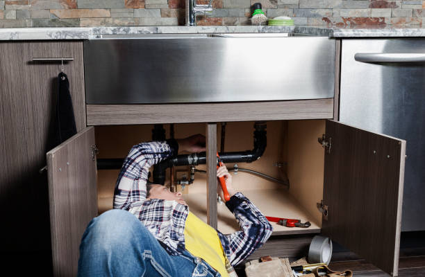 Best Plumbing Inspection Services  in Arcadia, SC